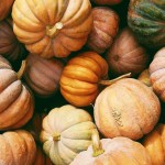 blog-portada-calabazas